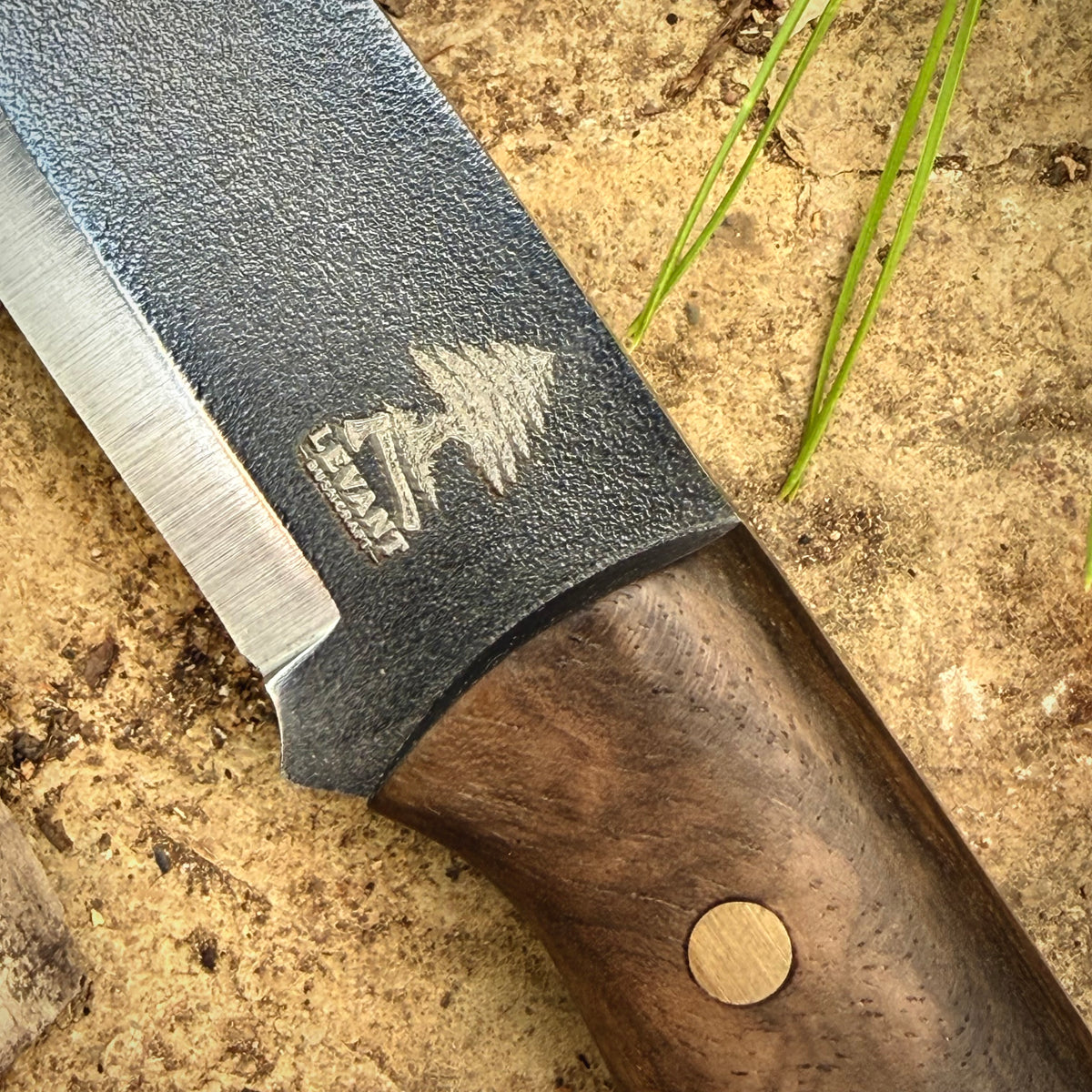 Woodsman No.1