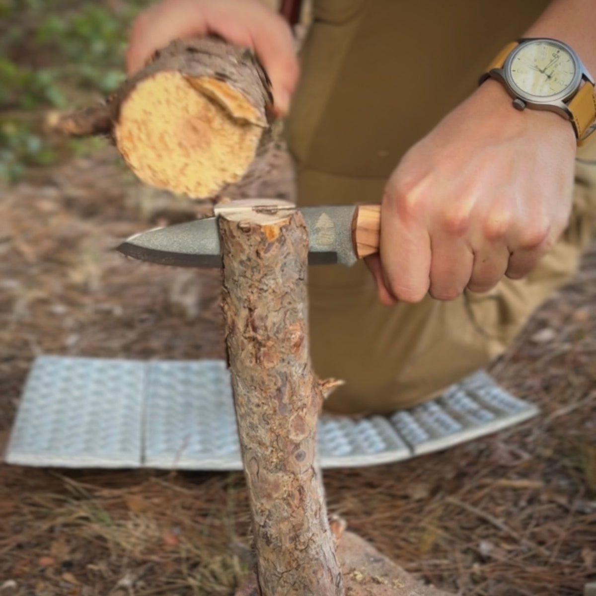 Woodsman No.1