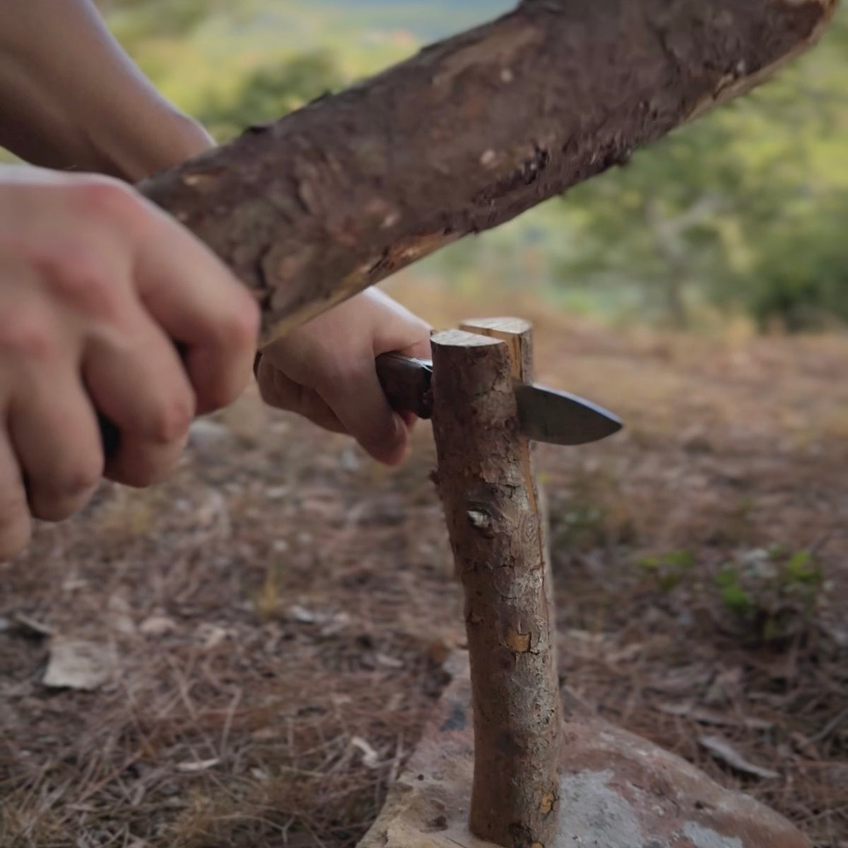 Woodsman No.1